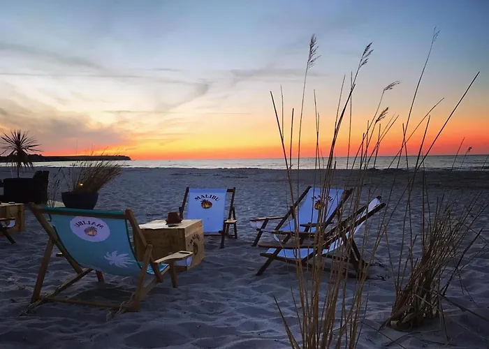 Friederike Boltenhagen